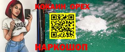 гашик Малгобек