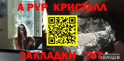 гашик Малгобек