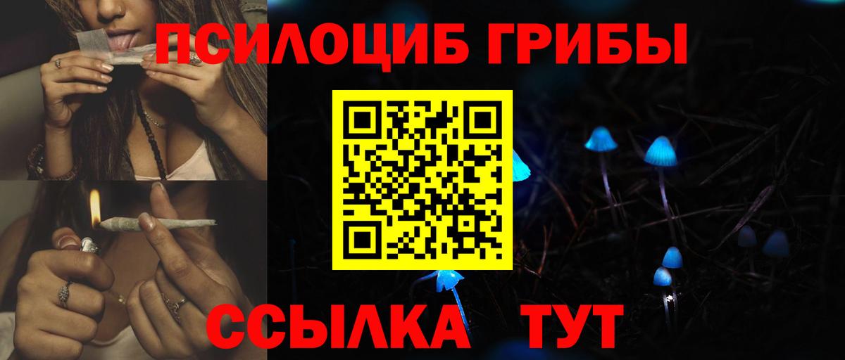 Псилоцибиновые грибы ЛСД Сорочинск